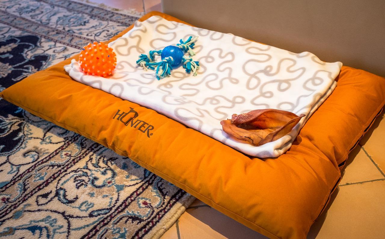 Chalet Verwall Luxury Apartments Lech Экстерьер фото